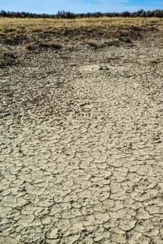 Cracked red clay and white salt on the surface in a dried riverbed in the desert of New Mexico, USA