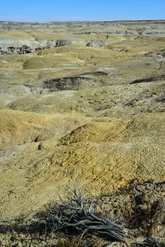 Weird sandstone formations created by erosion at Ah-Shi-Sle-Pah Wilderness Study Area in San Juan County near the city of Farmington, New Mexico. 