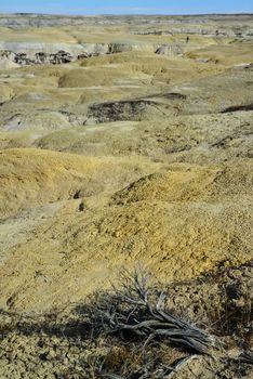 Weird sandstone formations created by erosion at Ah-Shi-Sle-Pah Wilderness Study Area in San Juan County near the city of Farmington, New Mexico. 