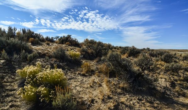 Weird sandstone formations created by erosion at Ah-Shi-Sle-Pah Wilderness Study Area in San Juan County near the city of Farmington, New Mexico. 