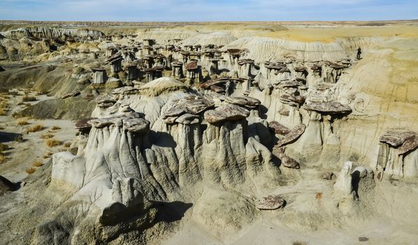 Weird sandstone formations created by erosion at Ah-Shi-Sle-Pah Wilderness Study Area in San Juan County near the city of Farmington, New Mexico. 