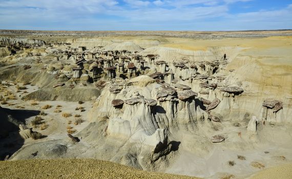 Weird sandstone formations created by erosion at Ah-Shi-Sle-Pah Wilderness Study Area in San Juan County near the city of Farmington, New Mexico. 