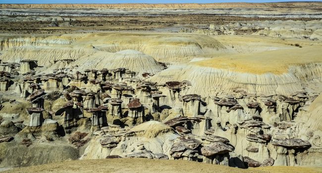 Weird sandstone formations created by erosion at Ah-Shi-Sle-Pah Wilderness Study Area in San Juan County near the city of Farmington, New Mexico. 