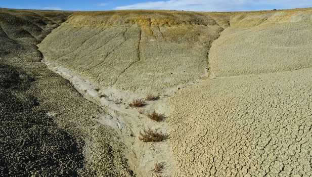 Weird sandstone formations created by erosion at Ah-Shi-Sle-Pah Wilderness Study Area in San Juan County near the city of Farmington, New Mexico. 