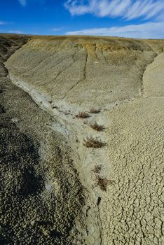 Weird sandstone formations created by erosion at Ah-Shi-Sle-Pah Wilderness Study Area in San Juan County near the city of Farmington, New Mexico. 