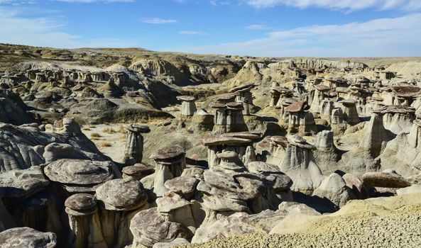 Weird sandstone formations created by erosion at Ah-Shi-Sle-Pah Wilderness Study Area in San Juan County near the city of Farmington, New Mexico. 