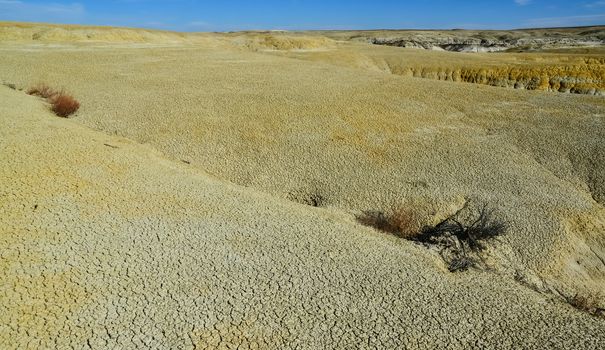 Weird sandstone formations created by erosion at Ah-Shi-Sle-Pah Wilderness Study Area in San Juan County near the city of Farmington, New Mexico. 