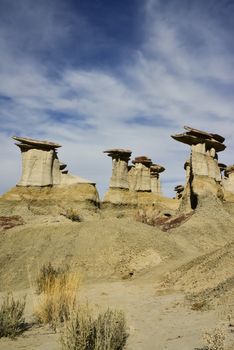 Weird sandstone formations created by erosion at Ah-Shi-Sle-Pah Wilderness Study Area in San Juan County near the city of Farmington, New Mexico. 