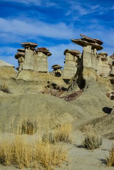 Weird sandstone formations created by erosion at Ah-Shi-Sle-Pah Wilderness Study Area in San Juan County near the city of Farmington, New Mexico. 