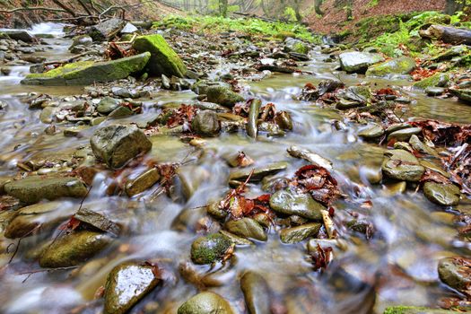 Fresh and clear waters of a forest stream run on stone pebbles and fallen leaves in the autumn forest. Low angle, foreground in light blur.