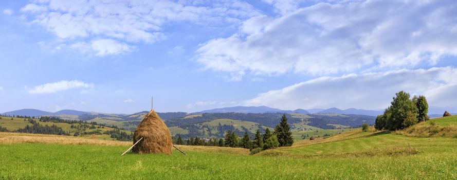 Haystack on a meadow on a hillside, beautiful mountain landscape on a bright sunny day. Panoramic view, Carpathians, Ukraine.