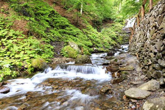 In the cascade waterfall in the gorge of the Carpathians flowing clear and cold water through the rocky rapids on the background of bright green foliage.