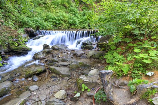Daytime soft light in the forest illuminates the clear water of a mountain river in a cascading waterfall in the Carpathians, dangling everything around with morning freshness.