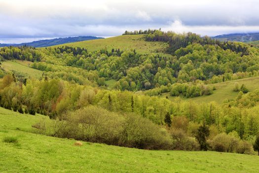 Beautiful view of the spring Carpathians from a height. The valley is overgrown with young deciduous trees.