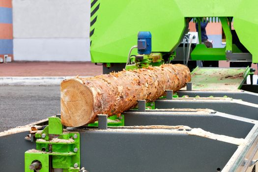 Pine boards are made from large logs at a modern automatic sawmill.