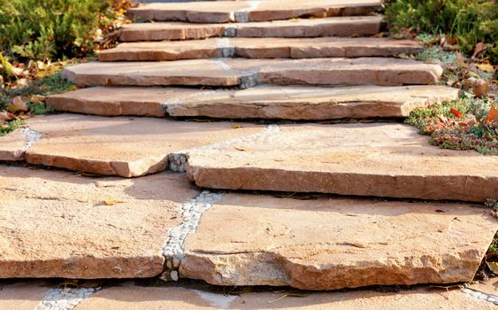 The paved stepped walkway made of coarse sandstone in the autumn park rises upward, framed on both sides by a low shrub under soft sunlight and long shadows.