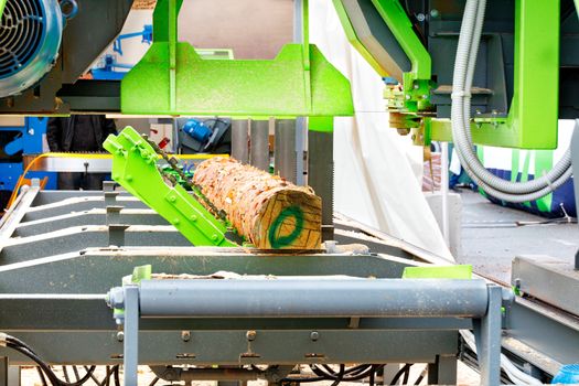 Special operator-operated hooks automatically turn the log on a modern woodworking sawmill for further sawing.