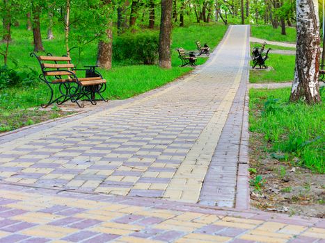 A stone-paved walkway with wooden benches runs along a beautiful green lawn between large trees in a city summer park, with copy space.