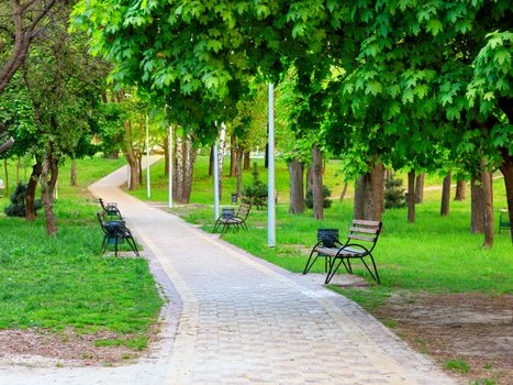 A path paved with multi-colored stone with wooden benches goes into the distance along a beautiful, green lawn and a fresh city summer park.