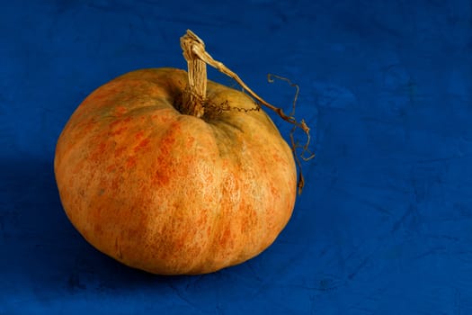 The concept of healthy and wholesome organic food. Large ripe orange pumpkin on a concrete classic blue color background, with copy space.