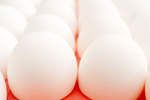White chicken eggs. Useful food product. Straight rows of eggs.