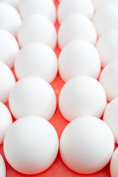 White chicken eggs. Useful food product. Straight rows of eggs.