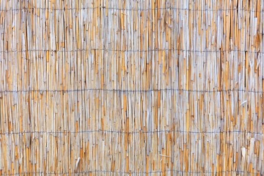 Texture and background of the fence of an old weathered reed.