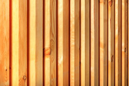 A wooden fence with a ribbed texture, a beautiful tree pattern in the form of smooth trunks with vertical guides.
