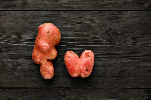 Ugly funny vegetables, heart-shaped potatoes and letter shape on a black wooden background. The concept of grungy vegetables or food waste. Top view, copy space.