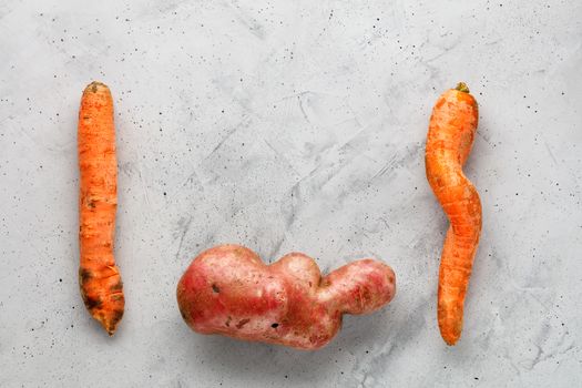 Ugly funny vegetables, letter shape potatoes and twisted carrot on gray concrete background. The concept of grungy vegetables or food waste. Top view, copy space.