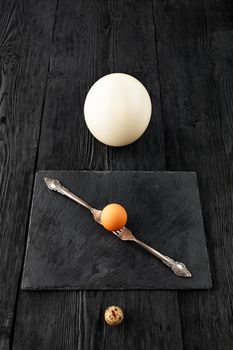 Quail, chicken and ostrich eggs on a black wooden surface with crossed forks on a kitchen cutting board. Growth concept. Low key, view from above.