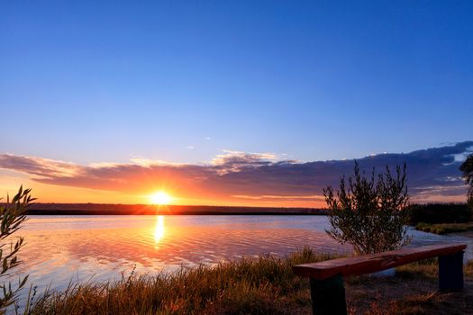 A majestic golden dawn above the horizon is reflected in a wavy river surface illuminating the contours of trees and an old wooden bench by the river, copy space.