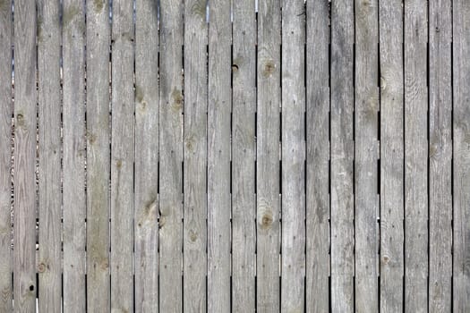 Weathered gray wooden fence with rusty nails and texture of an old tree in sunlight.