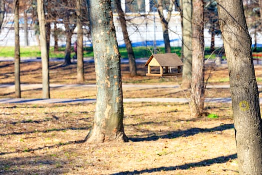 A wooden old bird feeder is suspended on a tree in the background of a spring city park in blur and bright sunlight.