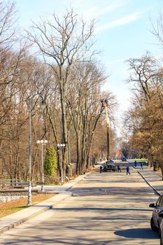 A utility team using a car hoist, hydraulic lift and chainsaw cleans roadside trees and makes spring pruning of dry trees and branches in a city park.