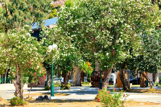 Street lamps with white round lampshades among the blooming azaleas of Loutraki city park in bright sunlight, Greece.