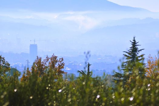 terni and the mist with the historic skyscraper the tulip