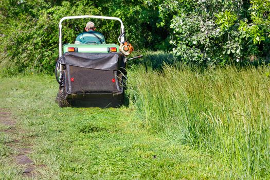 Mowed green grass gathers in the hopper of a professional lawnmower, which moves forward with a little blur on a clear sunny day, copy space.