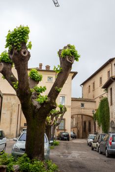 COUNTRY OF CESI IN THE PROVINCE OF TERNI