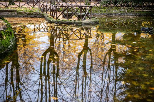 reflections on the pond of the promenade in terni