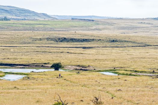 Hikers are visible on the Eland Hiking Trail at Eingedi near Ladybrand