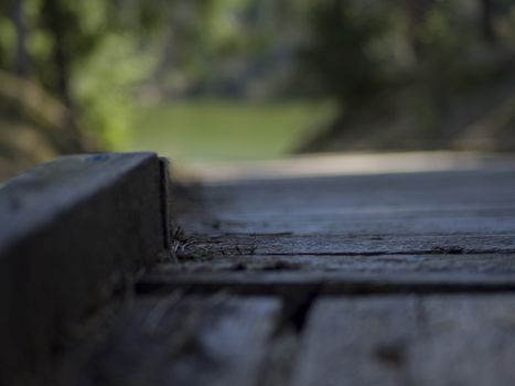 selective focus. wooden boardwalk near the lake surrounded by bare trees. Summer vacation background. Empty wooden pier with green lake in the background