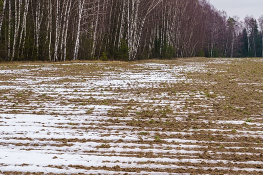 Plowed field against the background of the forest at the beginning of winter, with a little snow