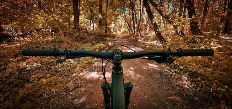 Beautiful autumn mountain bike trail seen from the eyes of a biker, with a mountain bike handlebars in the foreground. Mountain biking concept. Freedom and recreation concept.