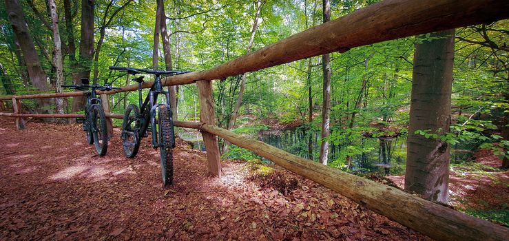 Two mountain bikes propped on a wooden fence next to a beautiful small lake on a green forest trail. Mountain biking concept. Freedom and recreation concept.