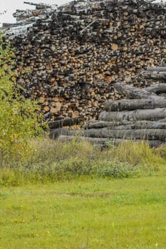 A pile of logs. Stack. Logs prepared for processing at a sawmill.