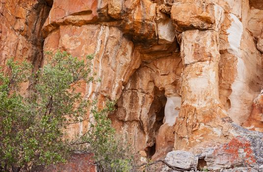 A scene of highly eroded sandstone formations in the Cederberg Wilderness Area, Western Cape. South Africa