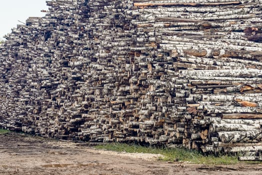 A pile of logs. Stack. Logs prepared for processing at a sawmill.