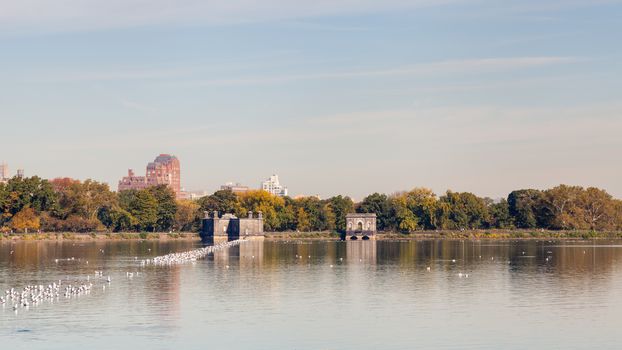 The view across the Jackie Onassis Reservoir in Central Park, New York City on a still autumn morning.