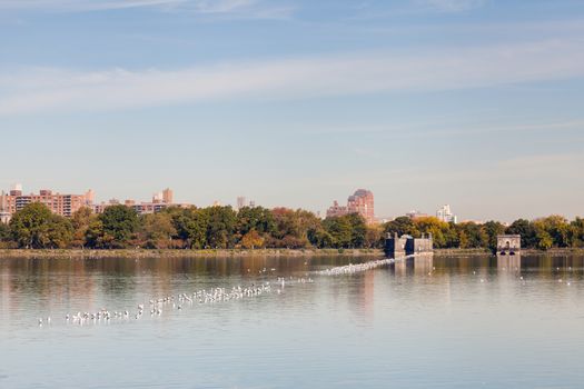 The view across the Jackie Onassis Reservoir in Central Park, New York City on a still autumn morning.